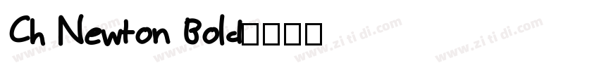 Ch Newton Bold字体转换